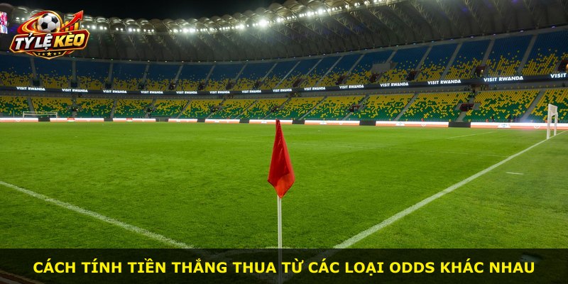 Cách tính tiền thắng thua từ các loại odds khác nhau