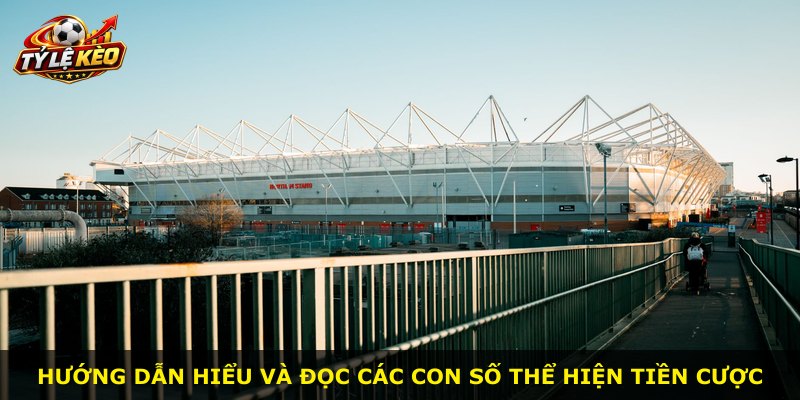 Hướng dẫn hiểu và đọc các con số thể hiện tiền cược
