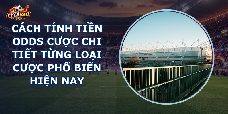Cách Tính Tiền Odds Cược
