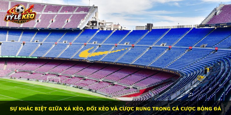 Sự khác biệt giữa xả kèo, đổi kèo và cược rung trong cá cược bóng đá