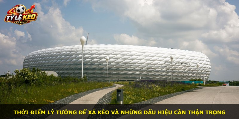 Thời điểm lý tưởng để xả kèo và những dấu hiệu cần thận trọng