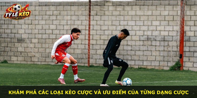 Khám phá các loại kèo cược và ưu điểm của từng dạng cược