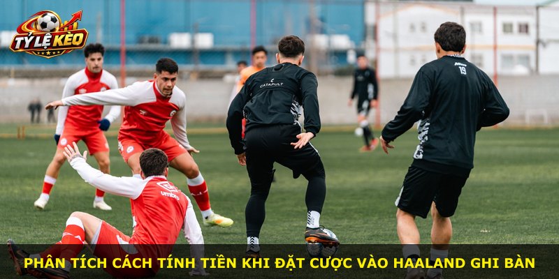 Phân tích cách tính tiền khi đặt cược vào Haaland ghi bàn