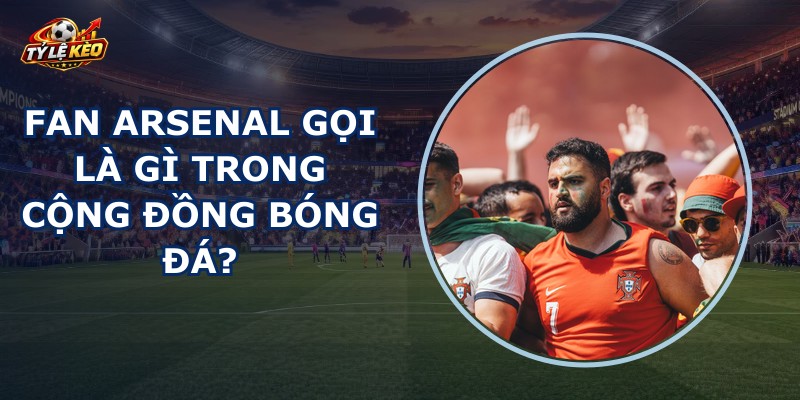 Fan Arsenal Gọi Là Gì