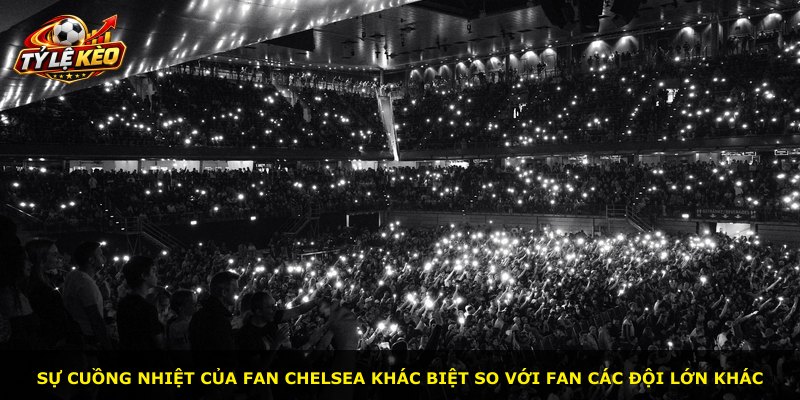 Sự cuồng nhiệt của fan Chelsea khác biệt so với fan các đội lớn khác