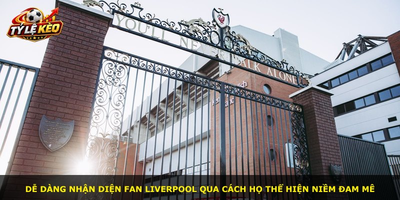 Dễ dàng nhận diện fan Liverpool qua cách họ thể hiện niềm đam mê