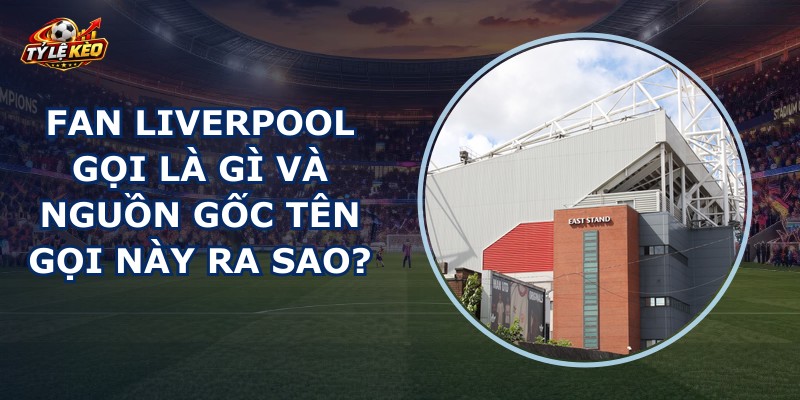 Fan Liverpool Gọi Là Gì