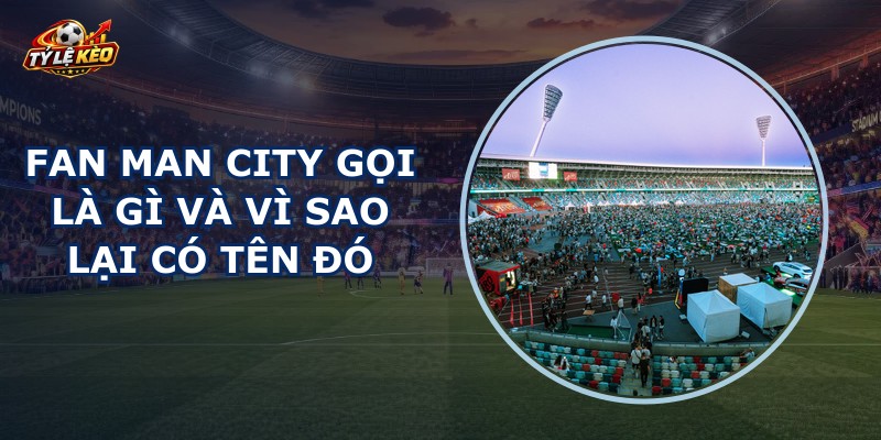 Fan Man City Gọi Là Gì