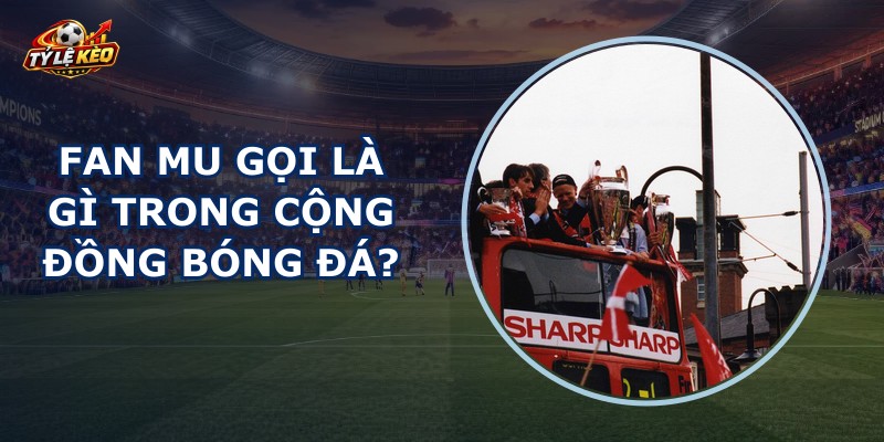 Fan Mu Gọi Là Gì