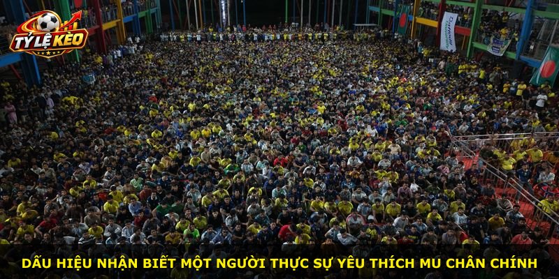 Dấu hiệu nhận biết một người thực sự yêu thích MU chân chính
