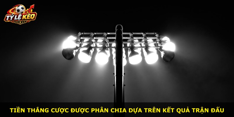 Tiền thắng cược được phân chia dựa trên kết quả trận đấu