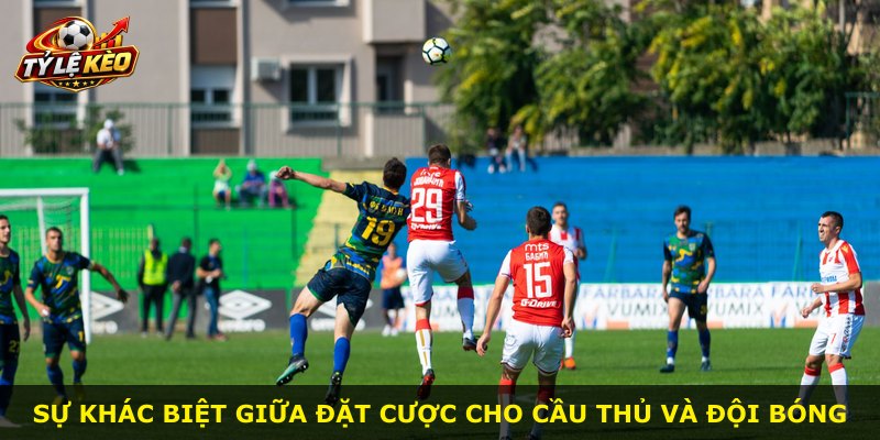Sự khác biệt giữa đặt cược cho cầu thủ và đội bóng
