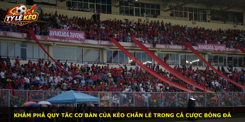 Khám phá quy tắc cơ bản của kèo chẵn lẻ trong cá cược bóng đá