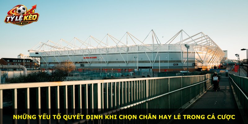Những yếu tố quyết định khi chọn chẵn hay lẻ trong cá cược