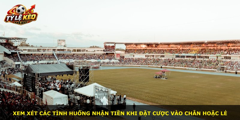 Xem xét các tình huống nhận tiền khi đặt cược vào chẵn hoặc lẻ