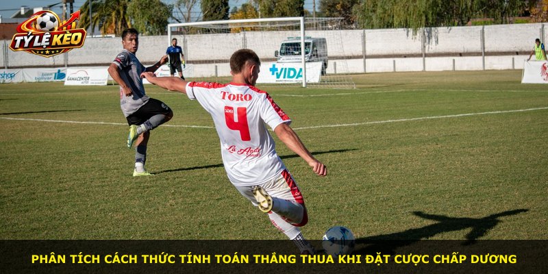 Phân tích cách thức tính toán thắng thua khi đặt cược chấp dương