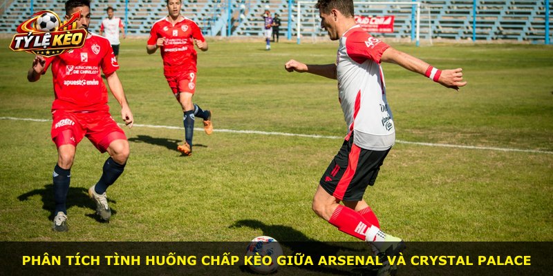 Phân tích tình huống chấp kèo giữa Arsenal và Crystal Palace