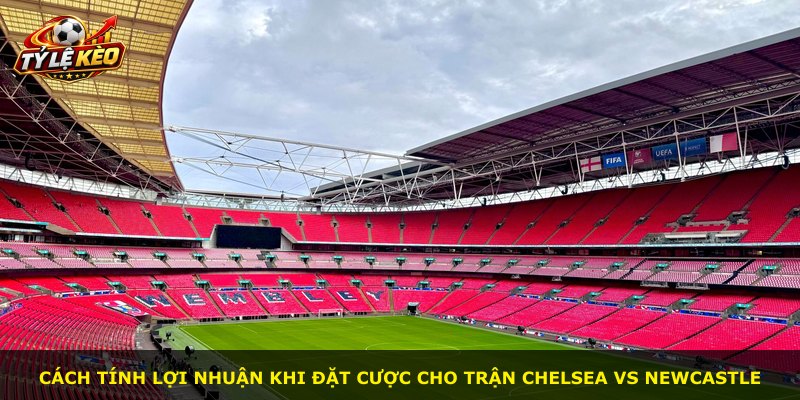 Cách tính lợi nhuận khi đặt cược cho trận Chelsea vs Newcastle