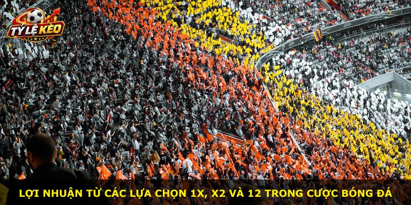 Lợi nhuận từ các lựa chọn 1X, X2 và 12 trong cược bóng đá