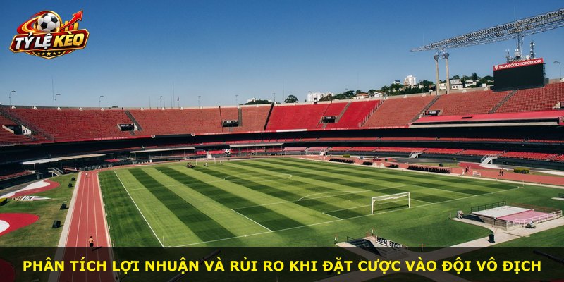 Phân tích lợi nhuận và rủi ro khi đặt cược vào đội vô địch
