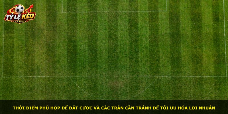 Thời điểm phù hợp để đặt cược và các trận cần tránh để tối ưu hóa lợi nhuận