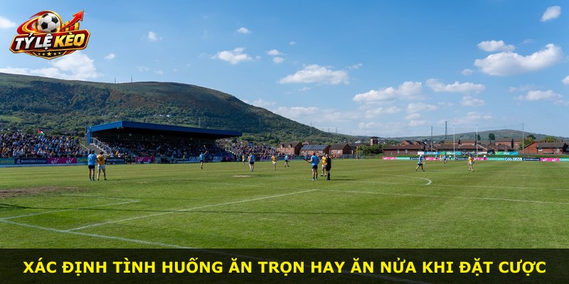 Xác định tình huống ăn trọn hay ăn nửa khi đặt cược