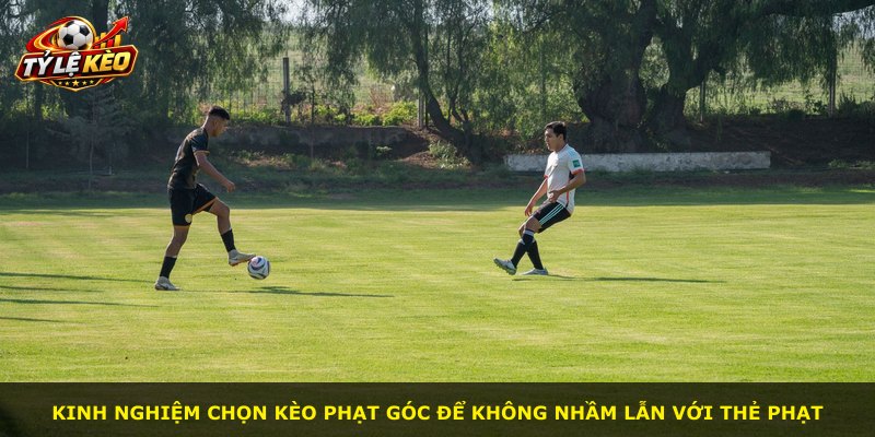 Kinh nghiệm chọn kèo phạt góc để không nhầm lẫn với thẻ phạt