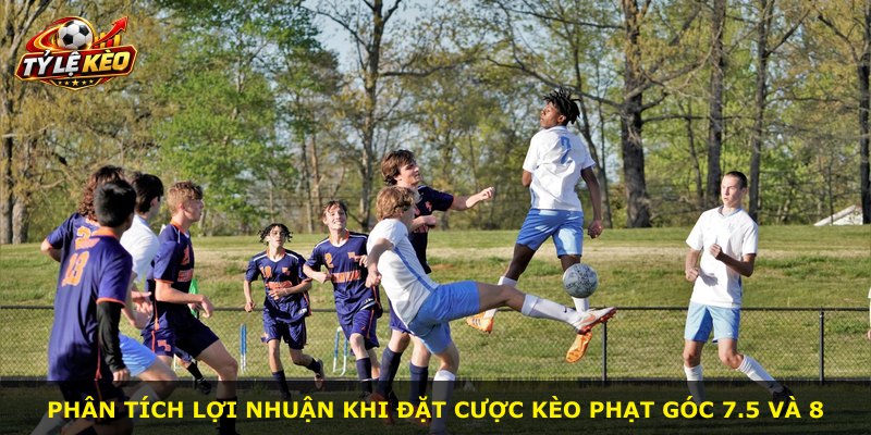 Phân tích lợi nhuận khi đặt cược kèo phạt góc 7.5 và 8
