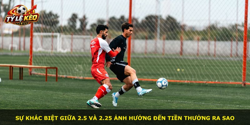 Sự khác biệt giữa 2.5 và 2.25 ảnh hưởng đến tiền thưởng ra sao
