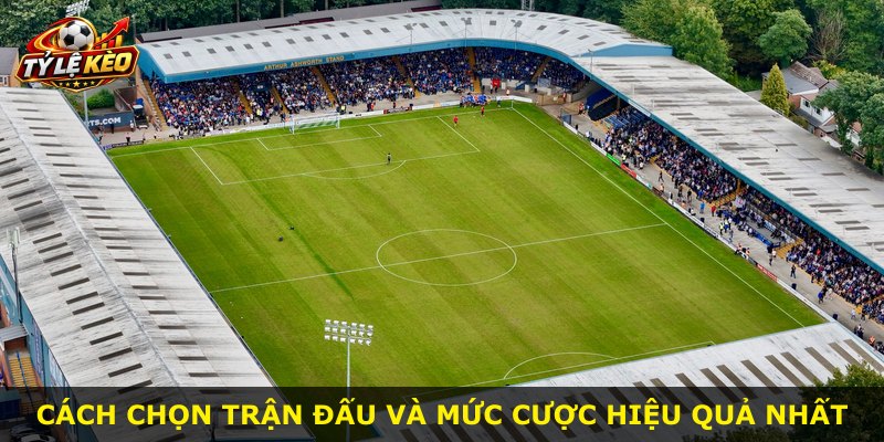 Cách chọn trận đấu và mức cược hiệu quả nhất