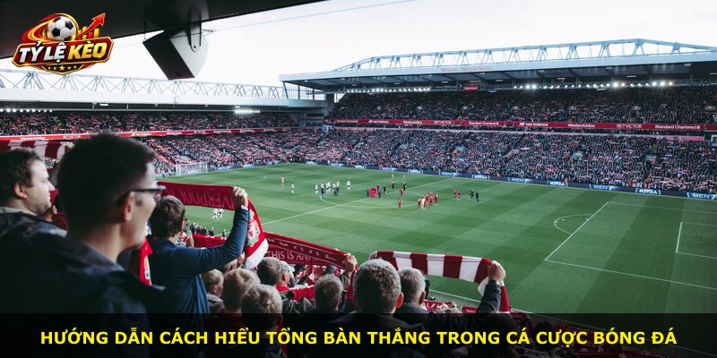 Hướng dẫn cách hiểu tổng bàn thắng trong cá cược bóng đá