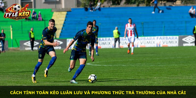 Cách tính toán kèo luân lưu và phương thức trả thưởng của nhà cái
