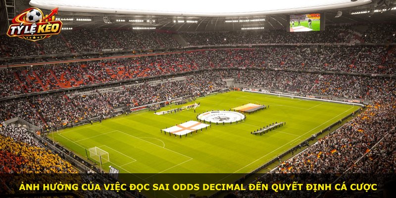Ảnh hưởng của việc đọc sai Odds Decimal đến quyết định cá cược