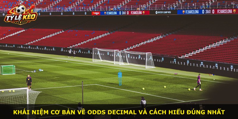 Khái niệm cơ bản về Odds Decimal và cách hiểu đúng nhất