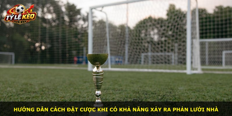 Hướng dẫn cách đặt cược khi có khả năng xảy ra phản lưới nhà