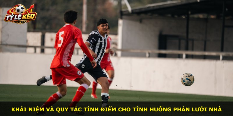 Khái niệm và quy tắc tính điểm cho tình huống phản lưới nhà