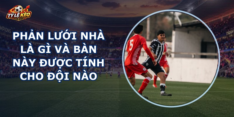 Phản Lưới Nhà Là Gì