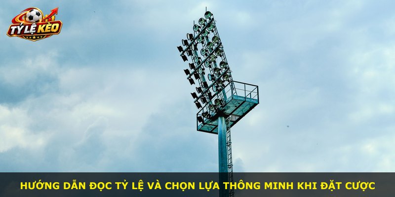 Hướng dẫn đọc tỷ lệ và chọn lựa thông minh khi đặt cược
