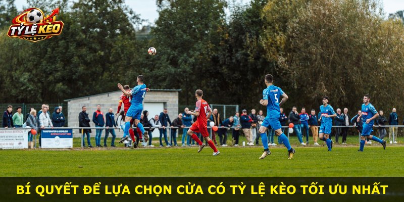 Bí quyết để lựa chọn cửa có tỷ lệ kèo tối ưu nhất
